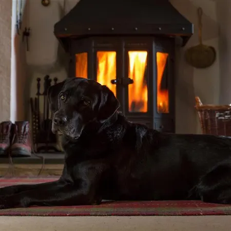 Old Droomer Holiday home Windermere