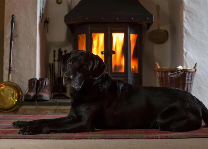 Old Droomer Holiday home Windermere